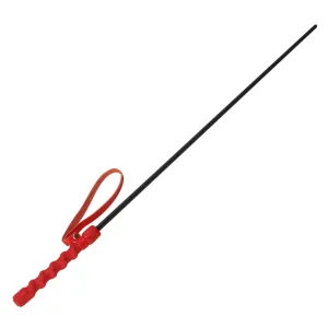 Cane, Straight Polycarbonate