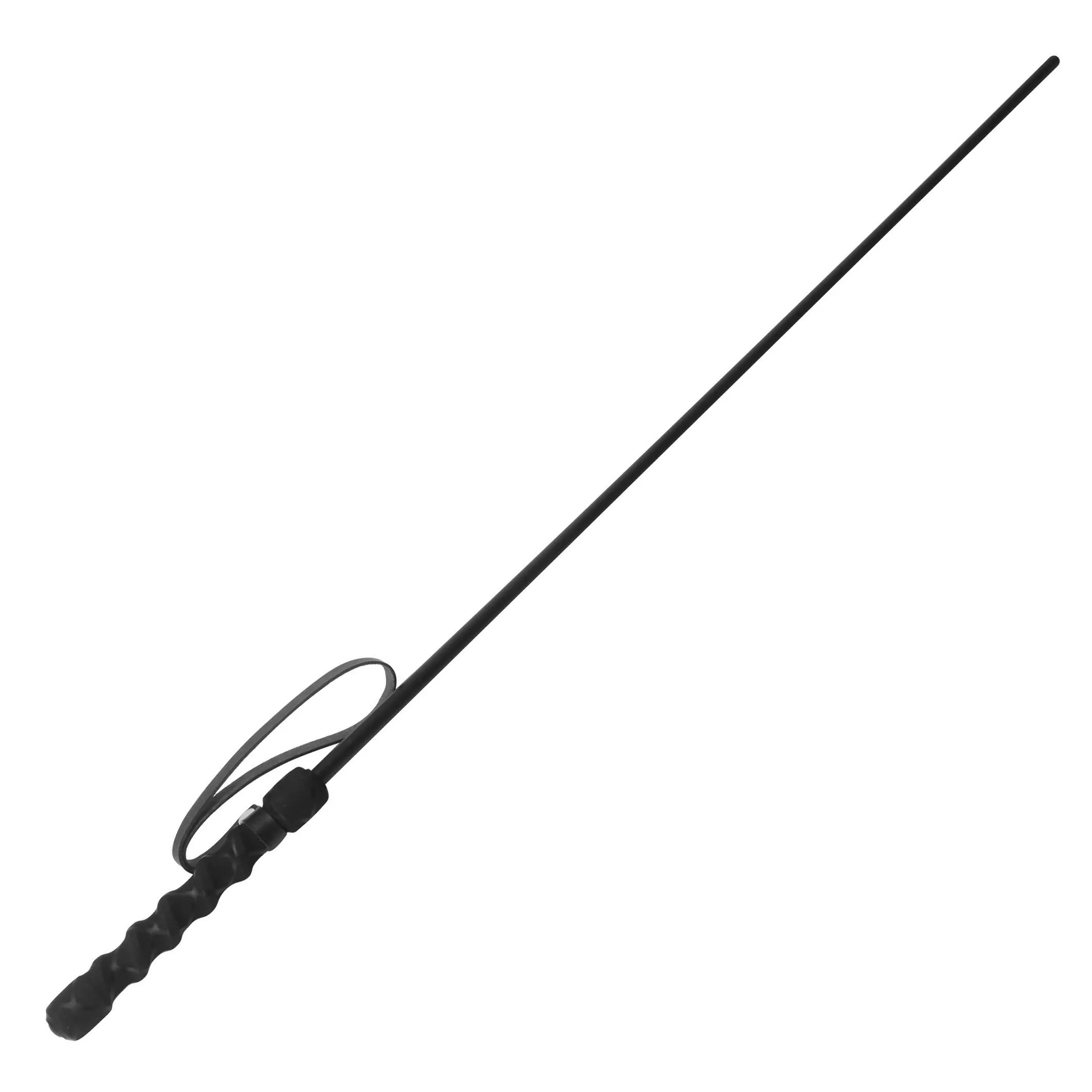 Cane, Straight Polycarbonate