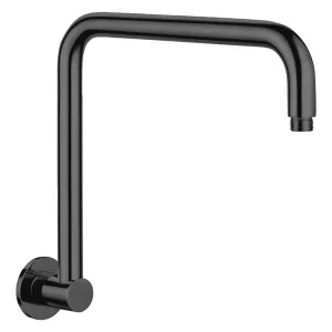 Fienza Round Matte Black Fixed Gooseneck Arm