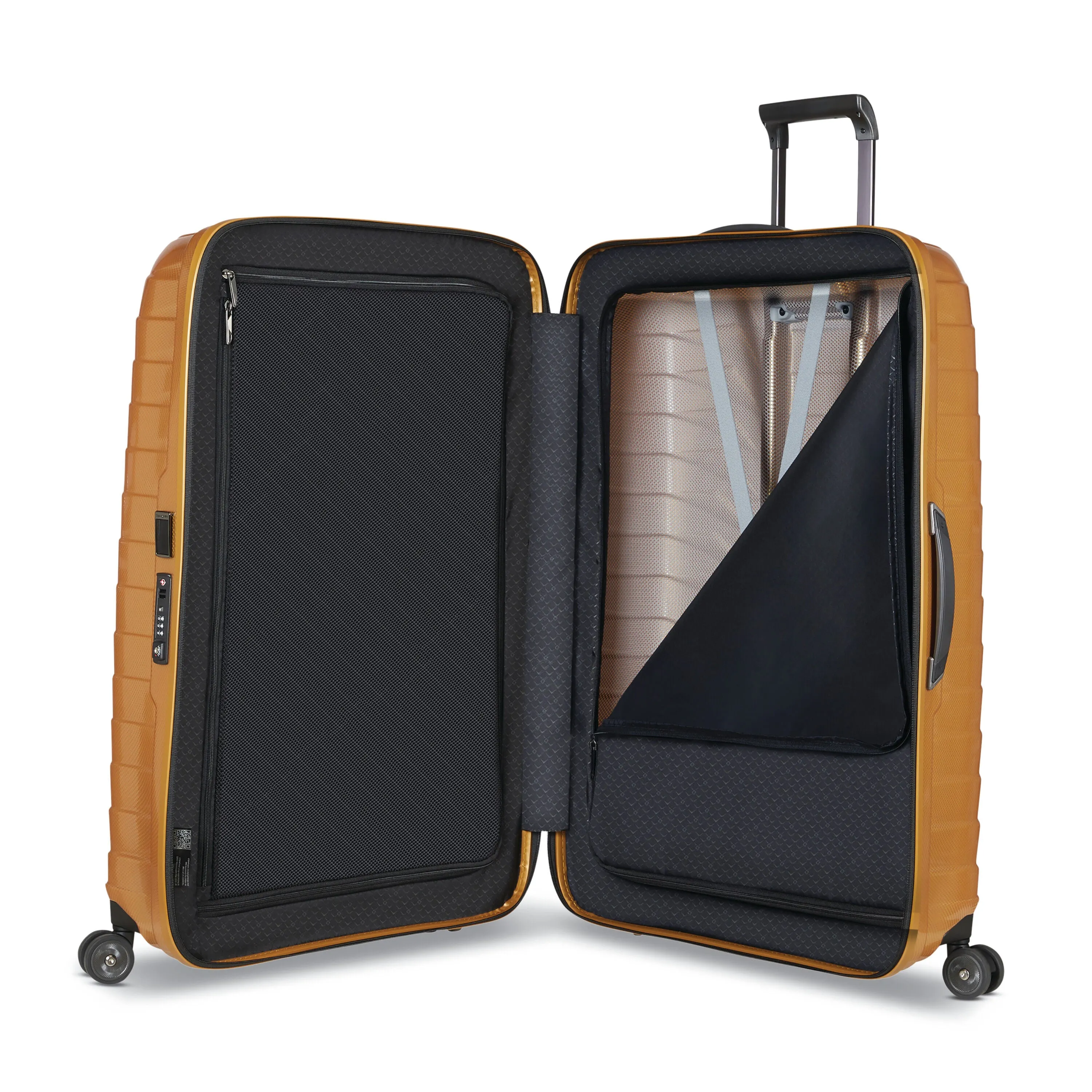 Proxis Hardside Medium Checked Luggage
