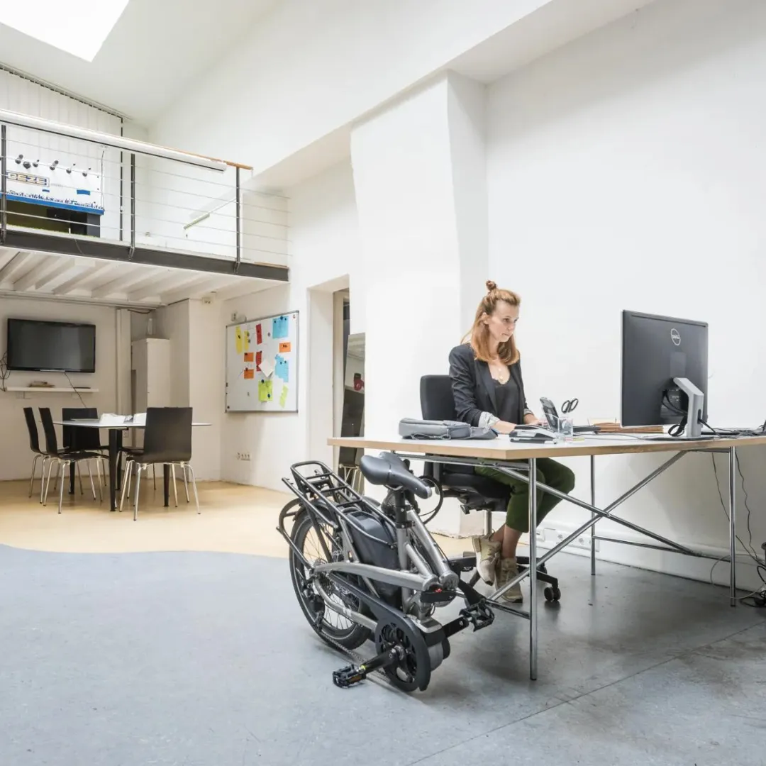 Tern Vektron S10 Folding Electric Bike